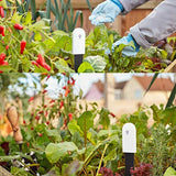 Broccoli Smart Plant Monitor Soil Moisture, Light, Nutrient Meter