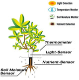 Broccoli Smart Plant Monitor Soil Moisture, Light, Nutrient Meter